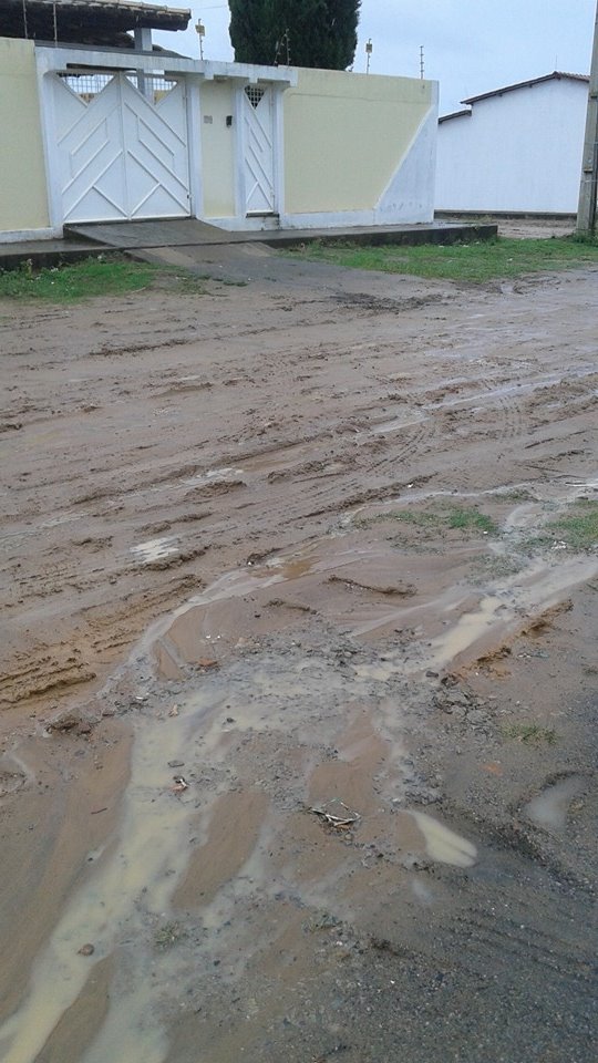 quintas6