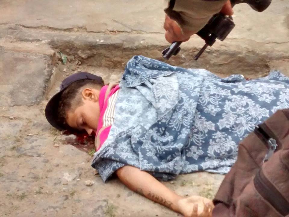 11815913_734745603320212_1357538213_n