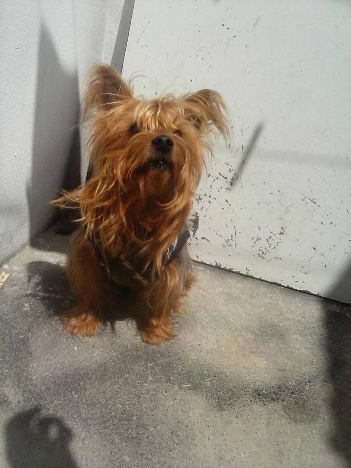 Samy