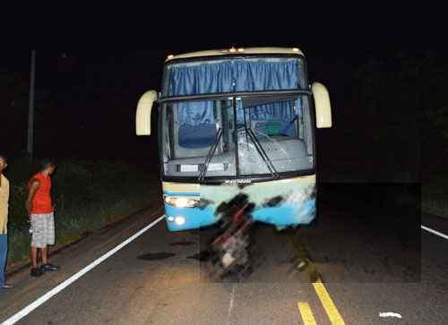 onibus novo horizonte