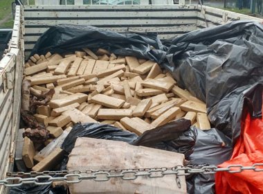 xIMAGEM_NOTICIA_5.jpg.pagespeed.ic.B0m-CrcqEr