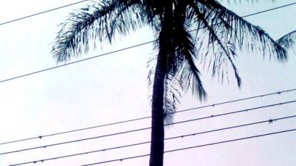 galerias---2016---08---imagens---15---2_1_118