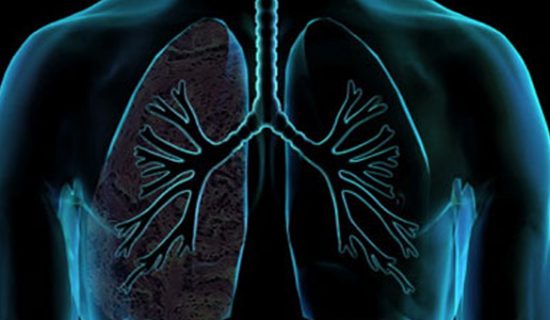 pulmao-550x320