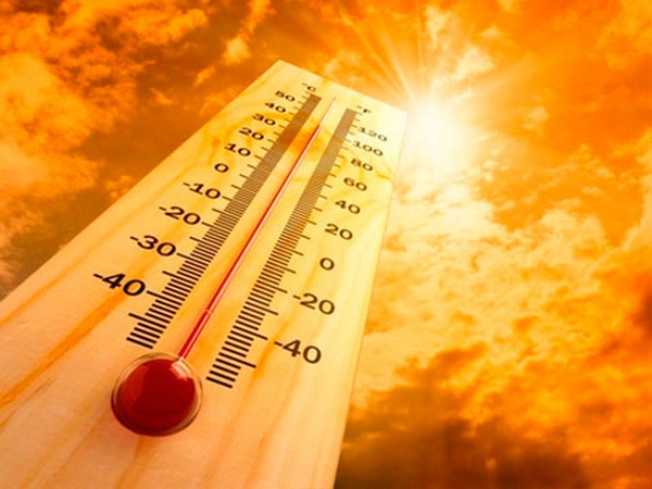 verao