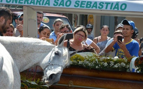 15877731_1200964499990481_73300639_o