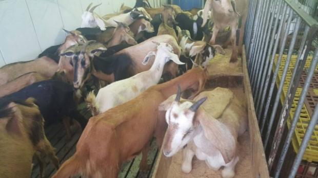 7a206abd93a0cb52d0203a3df752bdcf