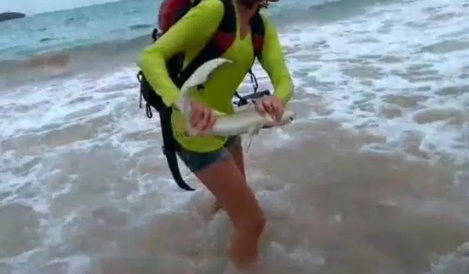turista