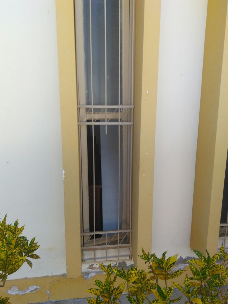 encruz3