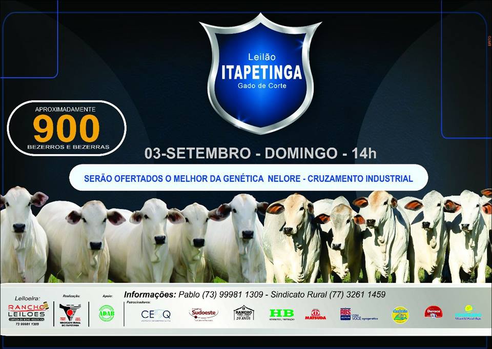 lEILÃO